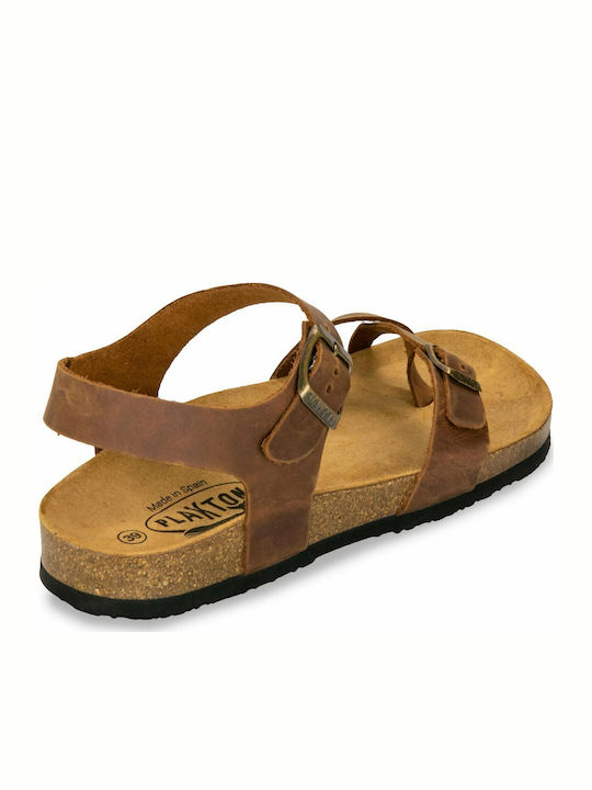 Leather Women's Flat Sandals Anatomic With a strap In Brown Colour