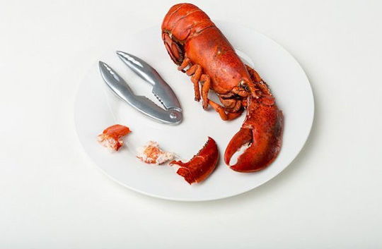Nava Seafood Scissors Made of Stainless Steel