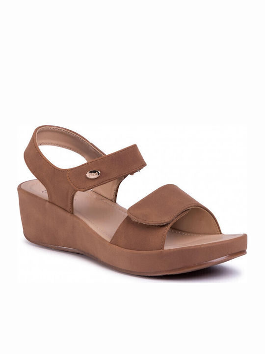 Scholl