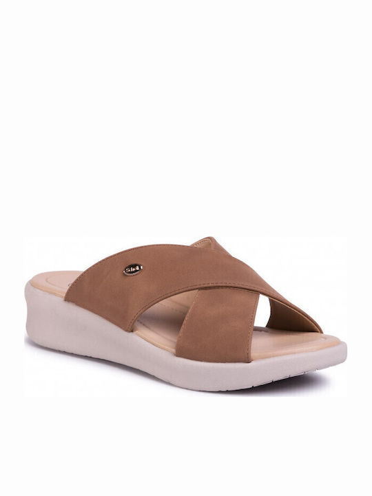 Scholl