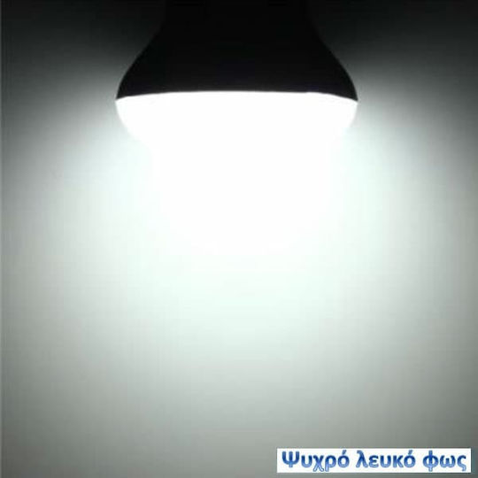 V-TAC LED Bulb 3W 78mm for Socket E14 and Shape P45 Cool White 250lm