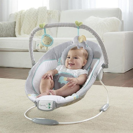 Bright Starts Elektrisch Baby Relax Schaukel Ingenuity mit Musik und Vibration Mehrfarbig