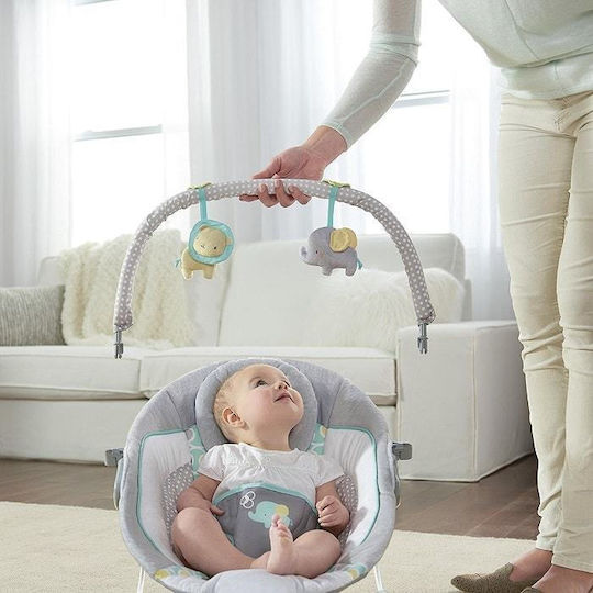 Bright Starts Elektrisch Baby Relax Schaukel Ingenuity mit Musik und Vibration Mehrfarbig