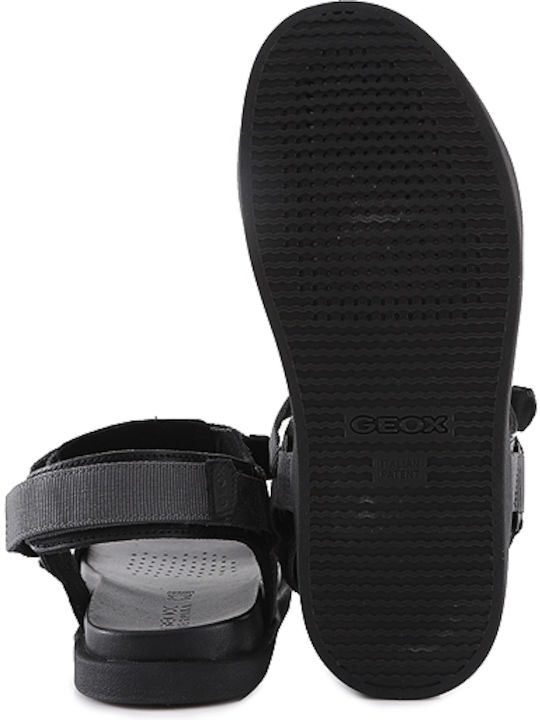 Geox Geox
