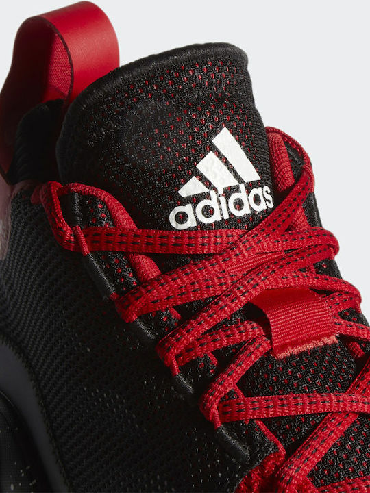 D Rose 773 2020 Ψηλά Μπασκετικά Παπούτσια Scarlet / Core Black / Cloud White