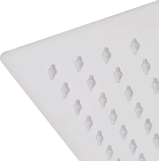 vidaXL Ορθογώνια Κεφαλή Ντουζ 30x20cm Inox