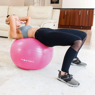 Proworks discount exercise ball