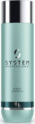 System Professional Derma Purify P1 Shampoos for All Hair Types 1000ml