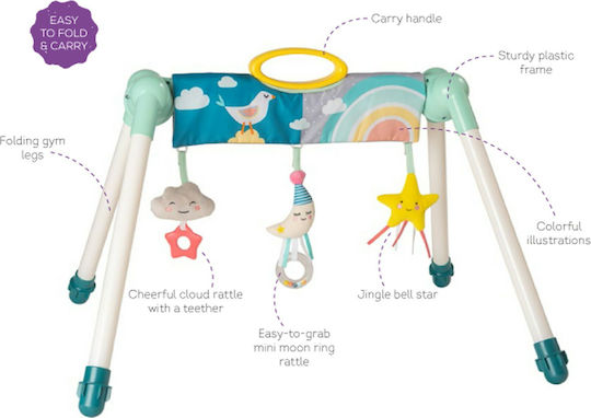 Taf Toys Mini Moon Activity Gym for 6+ Months