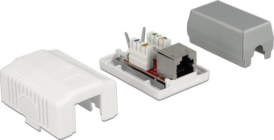DeLock Single External Network Socket RJ45 in White Color 86196