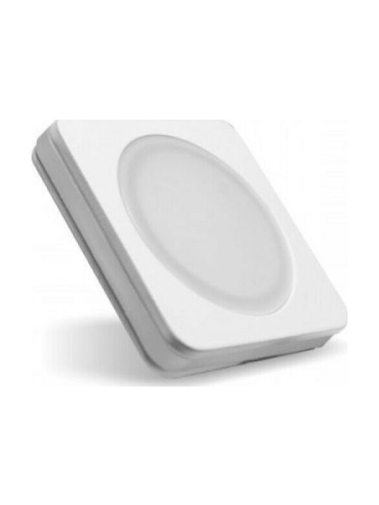 Spot Light Spot Deckenleuchte für den Außenbereich mit integriertem LED in Weiß Farbe 5407