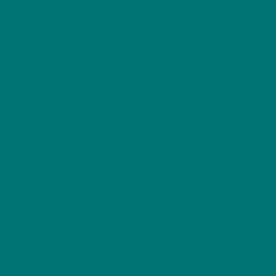 Flame Paint Spray Vopsea Flame Orange cu Matt E...