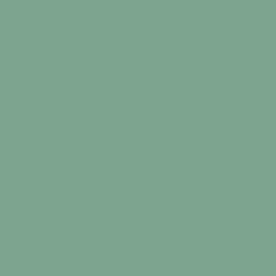 Flame Paint Spray Vopsea Flame Orange cu Matt E...