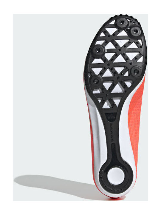 Adizero Ambition Sport Shoes Spikes Signal Pink / Core Black / Copper Metallic / Coral
