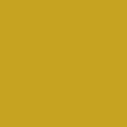 Flame Paint Spray Vopsea Flame Orange cu Matt E...