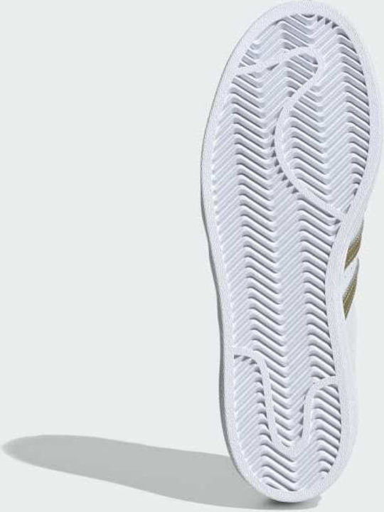 Superstar Sneakers Cloud White / Gold Metallic