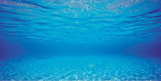 Juwel Double Face Aquarium Decoration Poster 86262