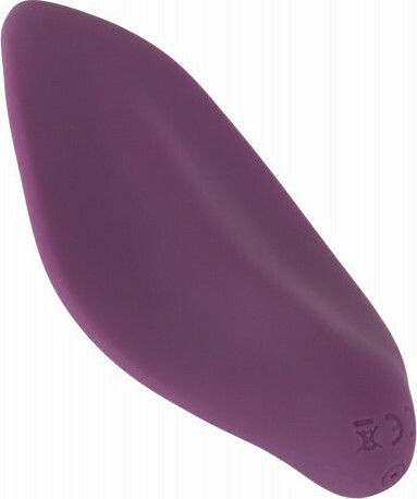 You2Toys Sweet Smile Panty Vibrator Clitoral Vibrator 11.5cm Violet