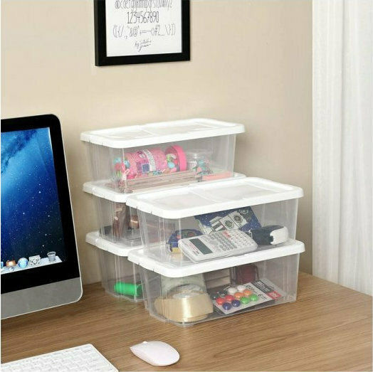 Songmics Kunststoff Aufbewahrungsbox mit Deckel Transparent 29.5x16.5x12.5cm 12Stück