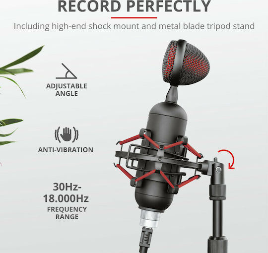 Trust GXT244 Buzz Set Condenser Microphone USB Tabletop for Vocals