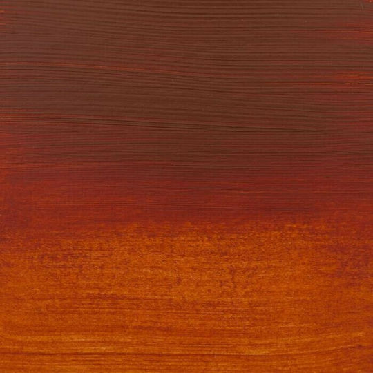 Royal Talens Amsterdam All Acrylics Standard Acrylic Paint Set Burnt Sienna 411 120ml 1pcs