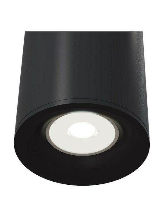 Maytoni Alfa Single Spot with Socket GU10 in Black Color