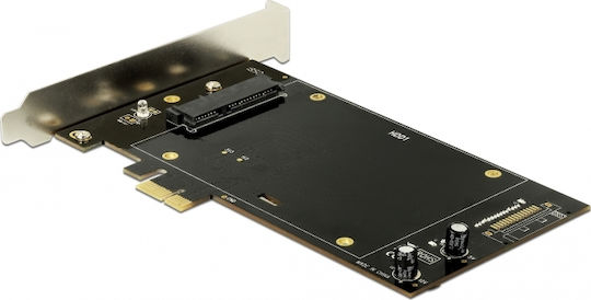 DeLock PCI Express x1 to 2 x SATA HDD / SSD (90349)