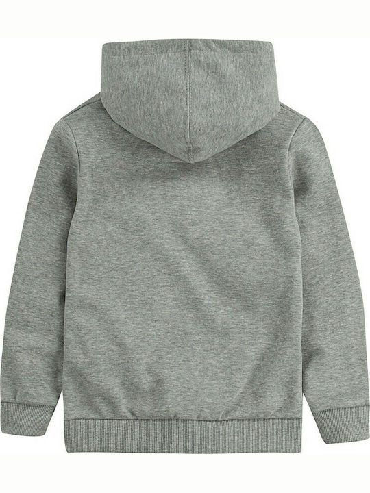 Levi's Kids Sweatshirt with Hood and Pocket Gray Batwing Screenprint Hoodie