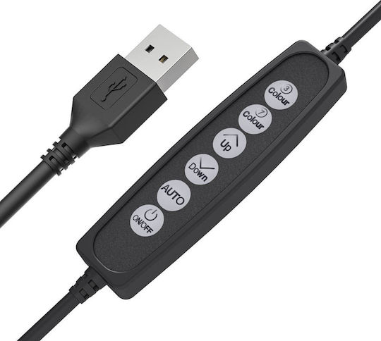BlitzWolf RGB Ringlicht 20,3cm 3000 - 6000K mit Schreibtisch Stativ und Handyhalter