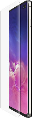 Belkin ScreenForce TemperedCurve Tempered Glass (Galaxy S10+)