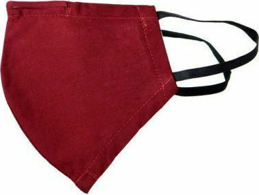 Synchronia Fabric Mask with Filter Pocket & Wire Protective Mask Fabric Small Kids Burgundy BHP001M-S-RD 1pcs