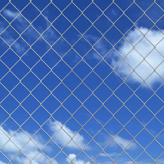 vidaXL Plasă de sârmă Galvanizat Module Argintiu 1x15m
