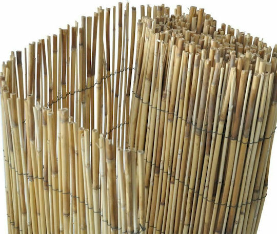 vidaXL Каламоти с Целият Рийд 1x5m