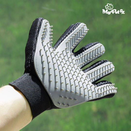 InnovaGoods Glove for Misc Hair Lengths for Coat Grooming Gray