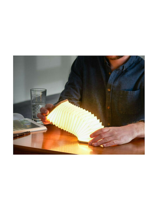 Gingko Διακοσμητικό Φωτιστικό LED Ψυχρό Λευκό 2700K 10x10x3.5εκ.