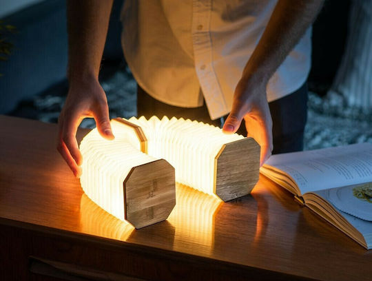 Gingko Lămpi Decorative Pentru Masă LED 2700K 10x10x3.5cm