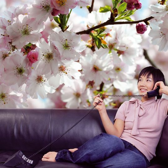 Φωτοταπετσαρία Τοίχου Spring 368x254cm