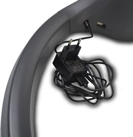 Cangaroo Elektrisch Baby Relax iSwing mit Musik Dark Grey für Kind bis 9kg