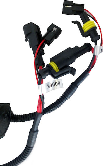 Auto Gs Car Xenon Kit H4 35W 12V 8000K Cold White