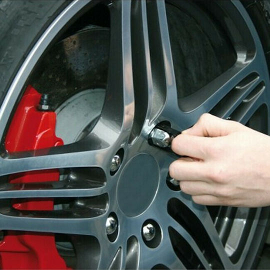 Auto Gs Bolt Caps Chrome 20pcs