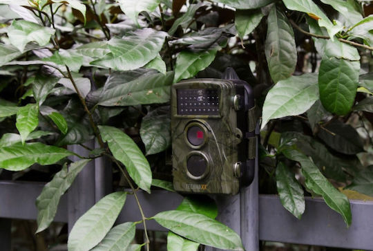 Technaxx Nature Wild Камера за лов Наблюдение на дивата природа