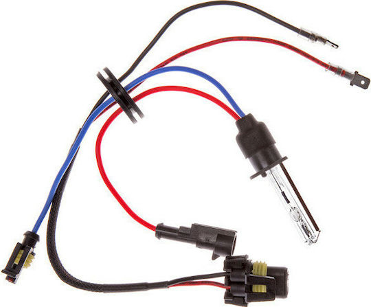 Carner Lamps Car & Motorcycle H1 Xenon 6000K Cold White 12-24V 35W 1pcs
