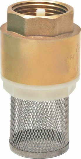 vidaXL 142886 Tubing Suction Green with Brass Connectors 10m 25mm