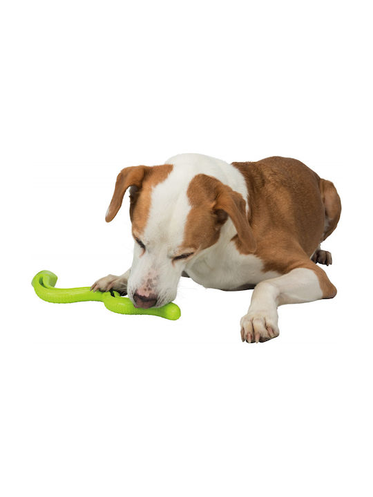 Trixie Snack Snake Играчка От Каучук Medium / Large 42см Зелен Trixie Snack Snake Играчка От Каучук Medium / Large 42см Зелен