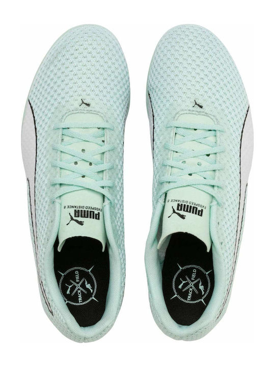 EvoSpeed Distance 8 Дамски Спортни обувки Шпайкове Зелен
