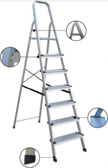 Profal Ladder Aluminum with 5+1 Steps 198cm