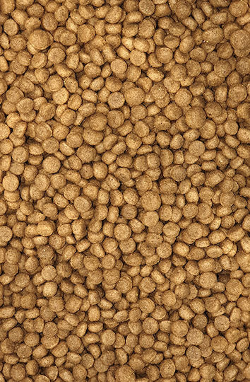 Viozois Exclusive Line Puppy 15kg Ξηρά Τροφή με Λίγα Σιτηρά για Κουτάβια με Κοτόπουλο