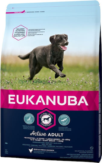 Eukanuba Adult Large Breed 12kg Ξηρά Τροφή για Ενήλικους Σκύλους Μεγαλόσωμων Φυλών με Κοτόπουλο