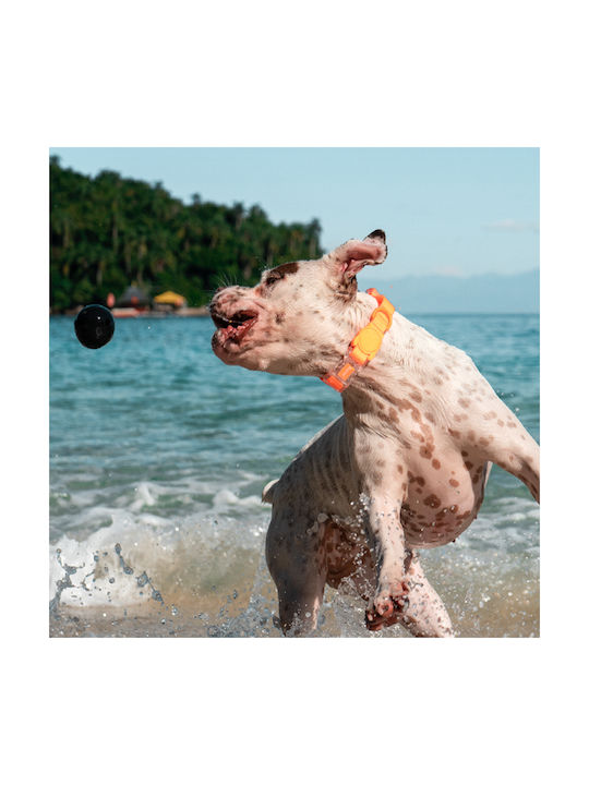 Zee-Dog NeoPro Zee-Dog NeoPro