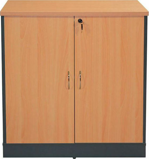 Büroaufbewahrungsschrank 80x40x82cm